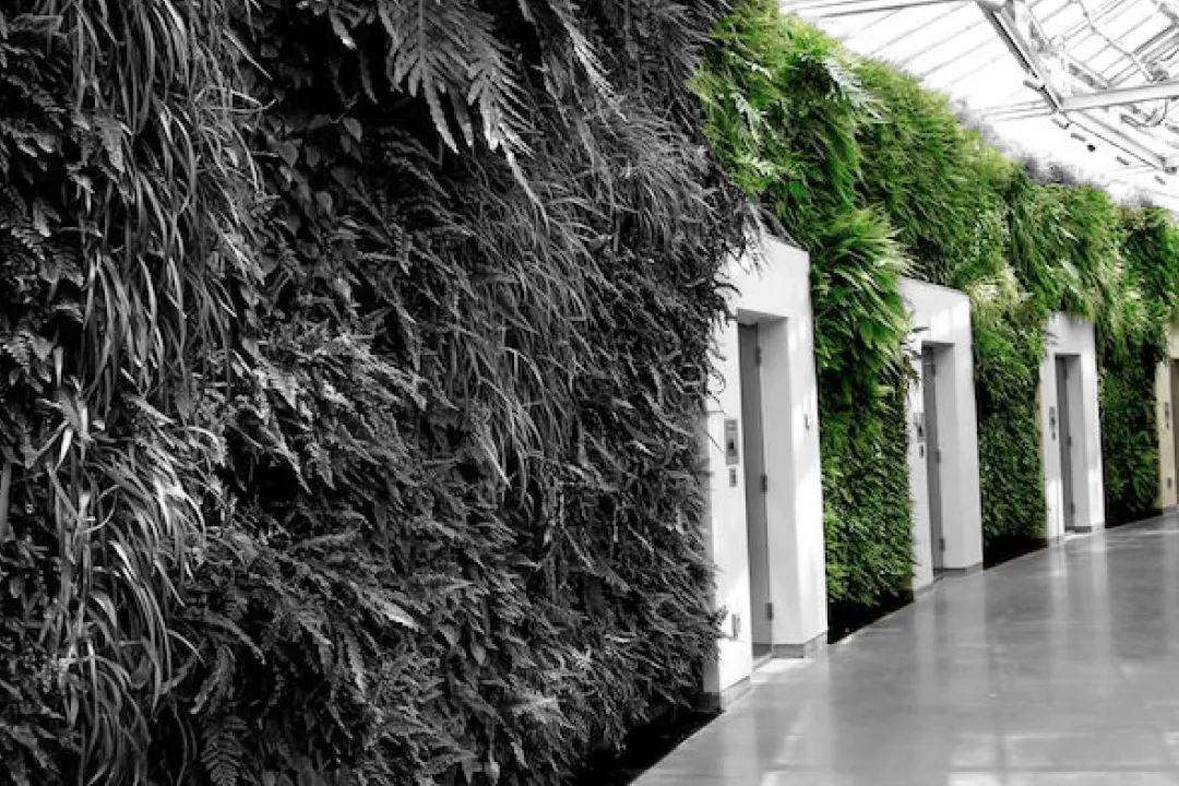 Il BIOPHILIC DESIGN